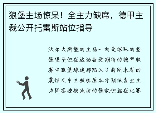 狼堡主场惊呆！全主力缺席，德甲主裁公开托雷斯站位指导