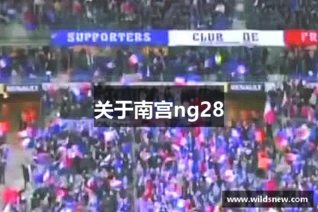 关于南宫ng28
